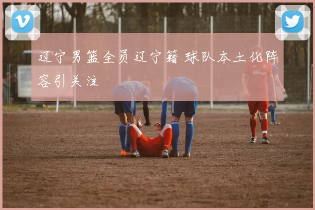 辽宁男篮全员辽宁籍 球队本土化阵容引关注