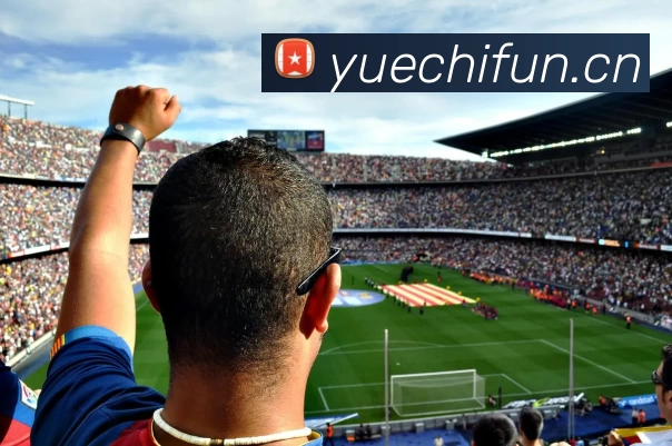 多媒体互动体验